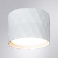 Потолочный светильник Arte Lamp Fang A5552PL-1WH