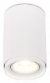 Накладной светильник SIMPLE STORY 2065 2065-1CLW