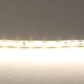Светодиодная лента Lightstar 12W/m 120LED/m дневной белый 5M 420504