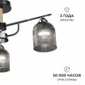 Люстра на штанге Apeyron Electrics 16-223