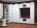  Система мебели Шкаф платяной Италия ИТ-65