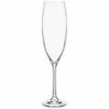  АРТИ-М Набор из 6 бокалов для шампанского Sophia 674-698
