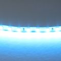 Светодиодная лента Lightstar 12W/m 120LED/m голубой 5M 420516