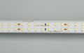  Arlight Лента RT 2-5000 24V Warm2700 2x2 (2835, 980 LED, LUX) (ARL, 20 Вт/м, IP20)