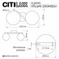 Бра Citilux Ronny CL242323