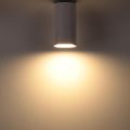 Накладной потолочный светильник Ritter Arton 59950 0