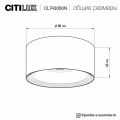 Накладной светильник Citilux Rover CL743060N