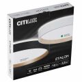 Накладной светильник Citilux Etalon CL750240