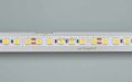  Arlight Лента RT 6-5050-96 24V Day4000 3x (480 LED) (ARL, 23 Вт/м, IP20)