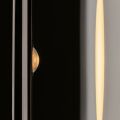 Накладной светильник Maytoni Theorema MOD288WL-L5B3K
