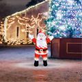 Neon-Night Дед Мороз световой Санта Клаус 513-183