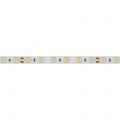 Лента Arlight 008829 RT 2-5000 24V White 2X (5060, 300 LED, LUX)