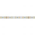 Лента Arlight 008829 RT 2-5000 24V White 2X (5060, 300 LED, LUX)