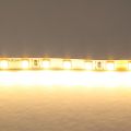 Светодиодная лента Lightstar 12W/m 120LED/m теплый белый 5M 420503