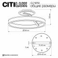 Светильник на штанге Citilux Дуэт CL719750
