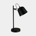 Настольная лампа офисная Evoluce Blank SLE1805-404-01