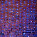  Neon-Night Занавес световой (2x1,5 м) Сеть 215-043