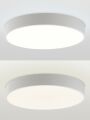 Накладной светильник Natali Kovaltseva MODERN LED LAMPS 81105/2C