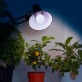 Лампа светодиодная для растений Эра E27 11W 2150K прозрачная FITO-11W-Ra90-E27
