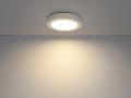 Потолочный светодиодный светильник Globo Paula 41605-20D