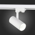 Светильник на штанге ST Luce ST661 ST661.546.20