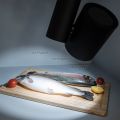  Arlight Светильник LGD-SHOP-4TR-R100-40W Cool SP7500-Fish (BK, 24 deg)