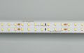  Arlight Лента RT 2-5000 24V Warm3000 2x2 (2835, 980 LED, LUX) (ARL, 20 Вт/м, IP20)