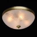 Потолочный светильник MW-Light Афродита 317015004