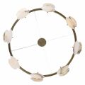 Подвесная люстра ST Luce Clam SL1520.303.08
