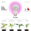 Лампа светодиодная для растений Эра E27 10W 1310K прозрачная FITO-10W-RB-E27-K