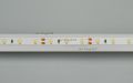  Arlight Лента RT 2-5000 12V White6000 (3528, 300 LED, LUX) (ARL, 4.8 Вт/м, IP20)