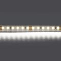 Светодиодная лента Lightstar 12W/m 120LED/m холодный белый 5M 420805