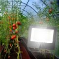 Прожектор светодиодный для растений Эра Fito-50W-Ra90-Led Б0047875