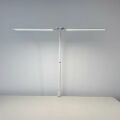 Настольная лампа декоративная Arte Lamp TILT A5127LT-1WH