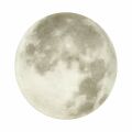 Накладной светильник Sonex Moon 3084/DLN