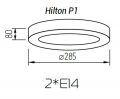 Настенно-потолочный светильник TopDecor Hilton P1 12