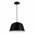 Подвесной светильник Evoluce Blank SLE1805-403-01