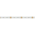  Arlight Лента MICROLED-M120-8mm 24V Warm3000 (14 W/m, IP20, 2216, 5m) (ARL, Открытый)