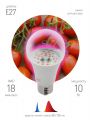 Лампа светодиодная для растений Эра E27 10W 1310K прозрачная Fito-10W-RB-E27 Б0050600