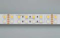  Arlight Лента RT 2-5000 24V RGB-White 2x2 (5060, 720 LED, LUX) (ARL, 32 Вт/м, IP20)