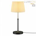 Настольная лампа декоративная Lumion MODERNI 8302/1T