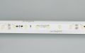  Arlight Лента RT-20000 24V White6000 (3528, 60 LED/m, 20m) (ARL, 4.8 Вт/м, IP20)