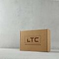  LTC Гирлянда Супернить STANDARD+ PST100CAP-11-1Y