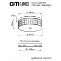 Накладной светильник Citilux Портал CL32413G1