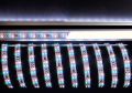 Лента светодиодная Deko-light 3528-2x72-12V-RGB+3000K-3m 840211