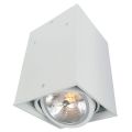 Потолочный светильник Arte Lamp Cardani A5936PL-1WH