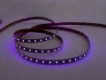 Лента светодиодная LEDS POWER STANDART 004143