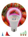 Лампа светодиодная для растений Эра E27 10W 1310K прозрачная Fito-10W-RB-E27 Б0050600