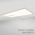  Arlight Панель IM-600x1200A-48W Day White