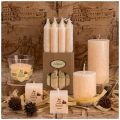  АРТИ-М Набор из 4 свечей ароматических Vanilla 348-666